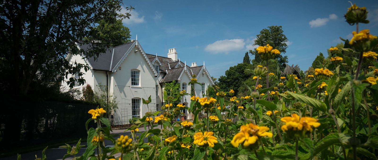 Sir Harold Hillier Gardens, Romsey, Hampshire